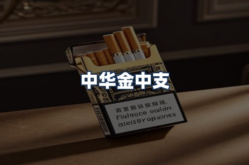 中华金中支